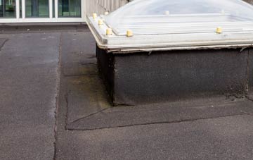 disadvantages of South Reston flat roofs