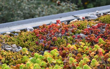 the cost of South Reston green roof installation