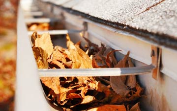 South Reston gutter cleaning companies