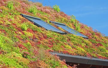 South Reston living roof systems